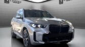 2025 BMW X5 in Gray Metallic